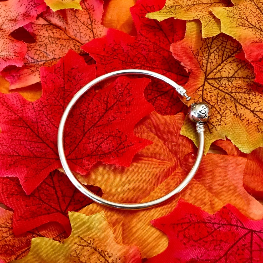 Pandora Bracelet